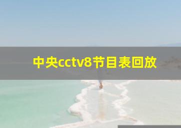 中央cctv8节目表回放