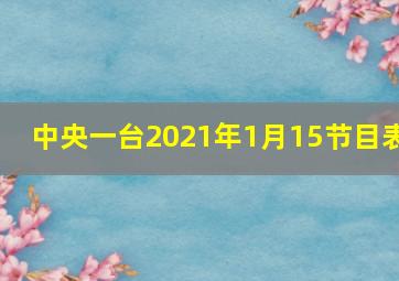 中央一台2021年1月15节目表