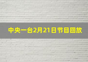 中央一台2月21日节目回放