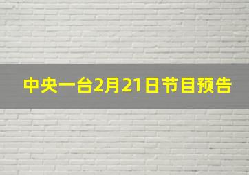 中央一台2月21日节目预告