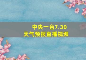 中央一台7.30天气预报直播视频