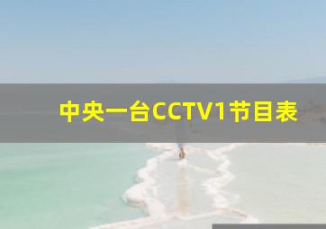 中央一台CCTV1节目表