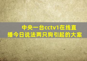 中央一台cctv1在线直播今日说法两只狗引起的大案