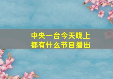 中央一台今天晚上都有什么节目播出