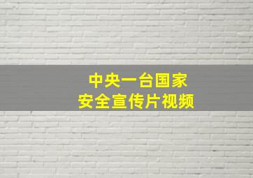 中央一台国家安全宣传片视频