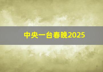 中央一台春晚2025