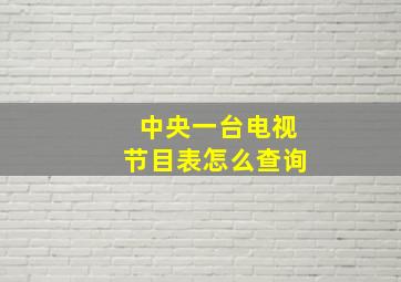 中央一台电视节目表怎么查询