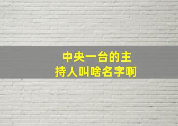 中央一台的主持人叫啥名字啊