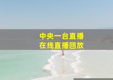 中央一台直播在线直播回放