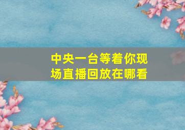 中央一台等着你现场直播回放在哪看