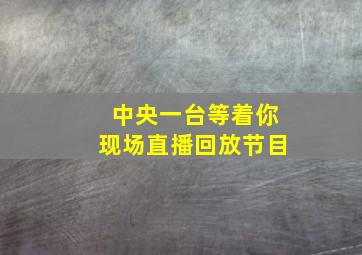 中央一台等着你现场直播回放节目