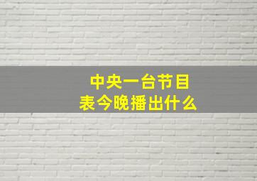 中央一台节目表今晚播出什么