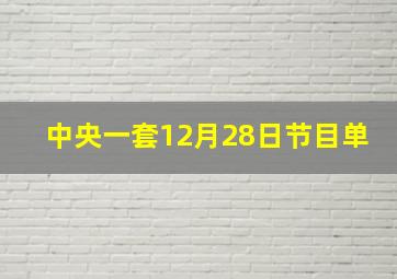 中央一套12月28日节目单