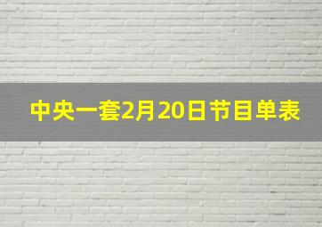 中央一套2月20日节目单表