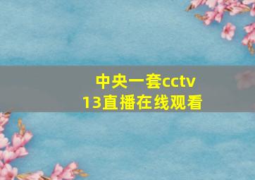 中央一套cctv13直播在线观看