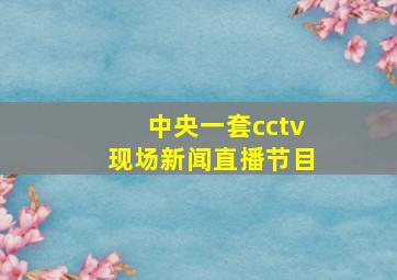 中央一套cctv现场新闻直播节目