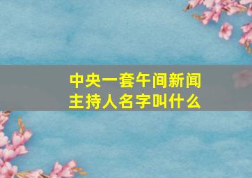 中央一套午间新闻主持人名字叫什么