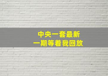 中央一套最新一期等着我回放