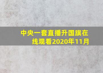 中央一套直播升国旗在线观看2020年11月