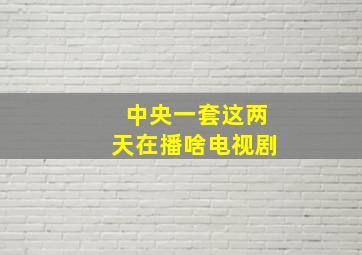 中央一套这两天在播啥电视剧