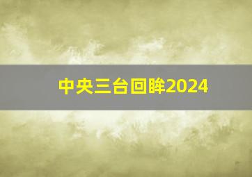 中央三台回眸2024