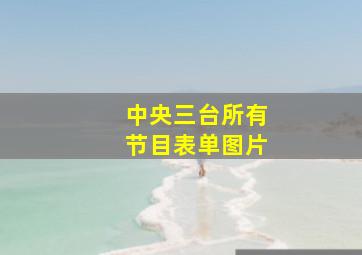 中央三台所有节目表单图片