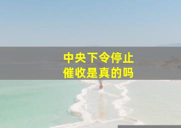 中央下令停止催收是真的吗