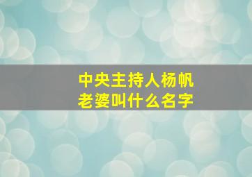 中央主持人杨帆老婆叫什么名字