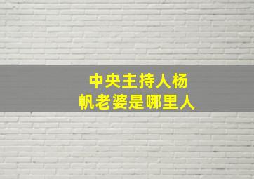 中央主持人杨帆老婆是哪里人