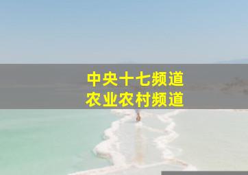 中央十七频道农业农村频道