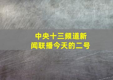 中央十三频道新闻联播今天的二号