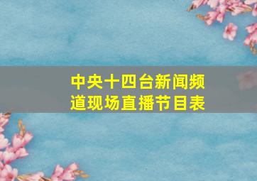 中央十四台新闻频道现场直播节目表