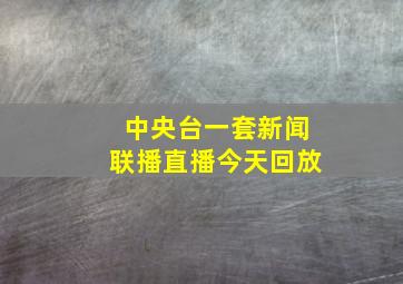 中央台一套新闻联播直播今天回放