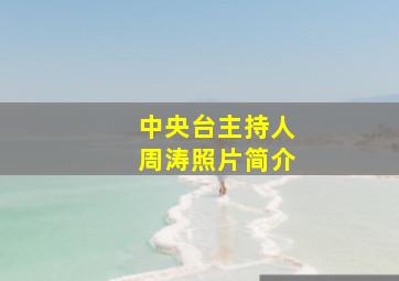 中央台主持人周涛照片简介