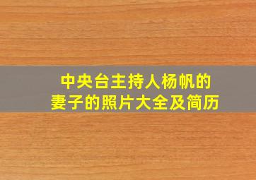 中央台主持人杨帆的妻子的照片大全及简历