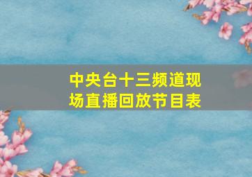 中央台十三频道现场直播回放节目表