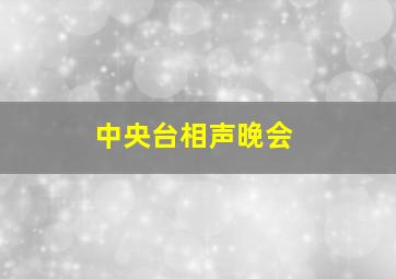 中央台相声晚会