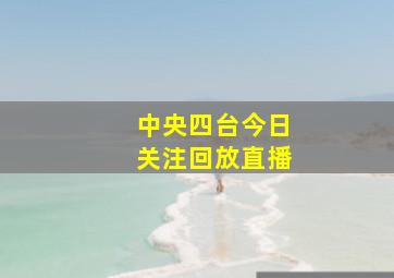 中央四台今日关注回放直播