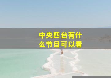 中央四台有什么节目可以看