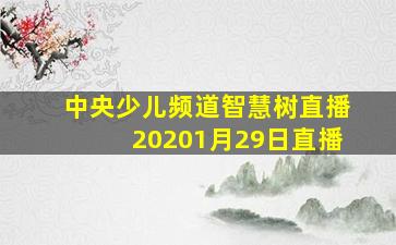 中央少儿频道智慧树直播20201月29日直播