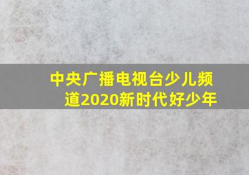 中央广播电视台少儿频道2020新时代好少年