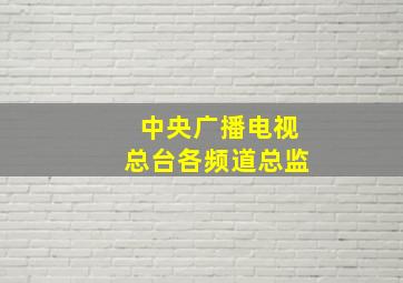 中央广播电视总台各频道总监