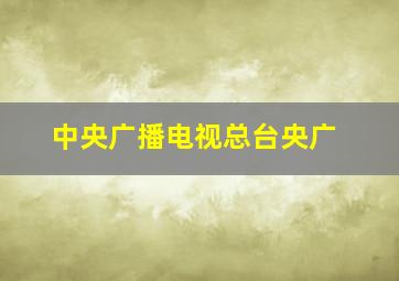 中央广播电视总台央广