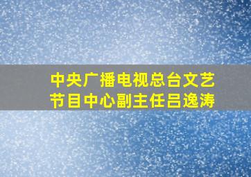 中央广播电视总台文艺节目中心副主任吕逸涛