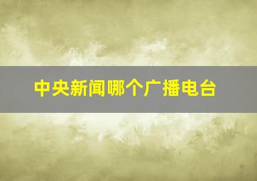 中央新闻哪个广播电台