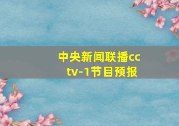 中央新闻联播cctv-1节目预报