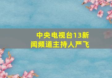 中央电视台13新闻频道主持人严飞