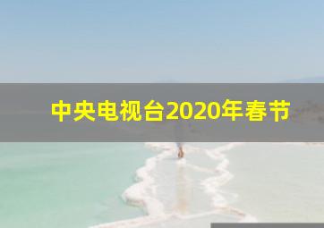 中央电视台2020年春节