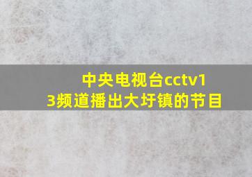 中央电视台cctv13频道播出大圩镇的节目