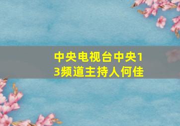 中央电视台中央13频道主持人何佳